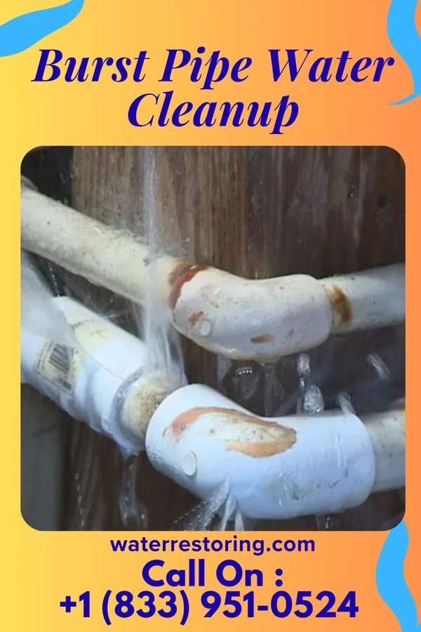 Burst Pipe Water Cleanup in Weissport East, PA