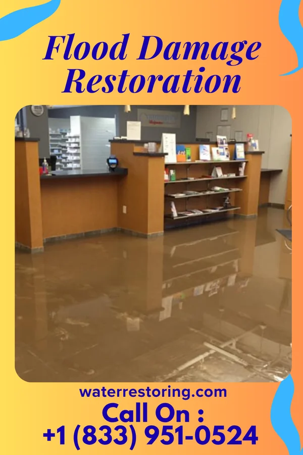 Flood Damage Restoration in Weissport East, PA
