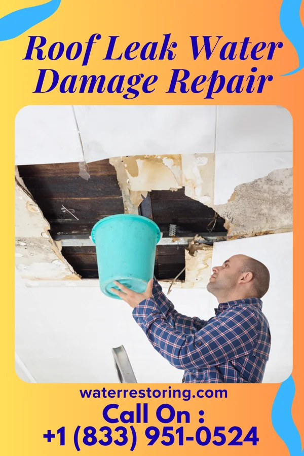Roof Leak Water Damage Repair in Weissport East, PA