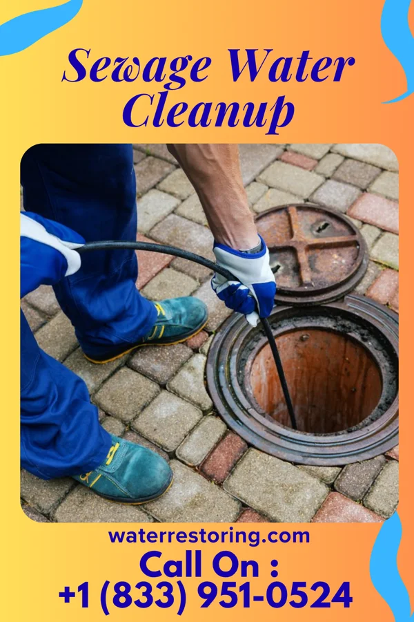 Sewage Water Cleanup in Weissport East, PA