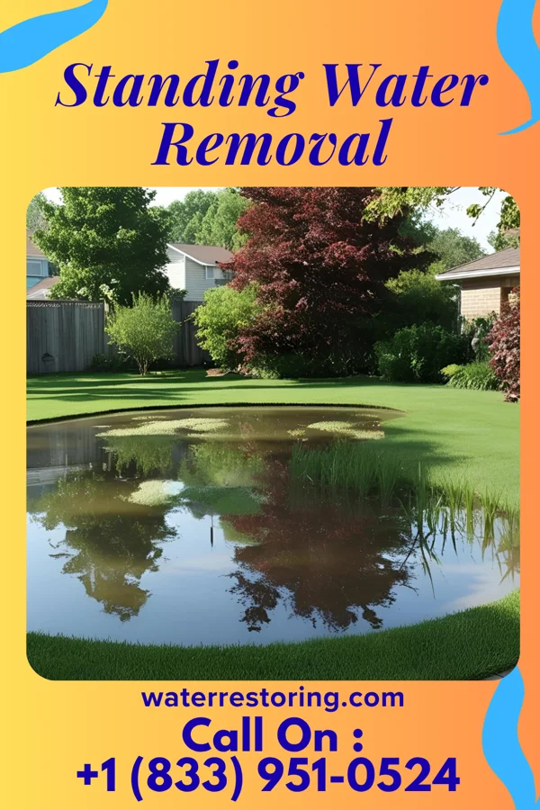 Standing Water Removal in Weissport East, PA